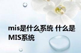 mis是什么系统 什么是MIS系统