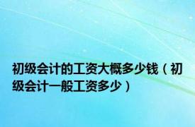 初级会计的工资大概多少钱（初级会计一般工资多少）