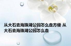 从大石去海珠湖公园怎么走方便 从大石去海珠湖公园怎么走