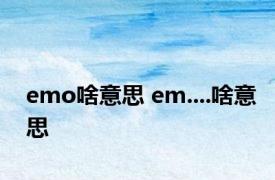 emo啥意思 em....啥意思