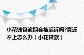 小花钱包逾期会被起诉吗?真还不上怎么办（小花贷款）