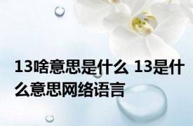 13啥意思是什么 13是什么意思网络语言