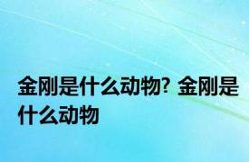 金刚是什么动物? 金刚是什么动物