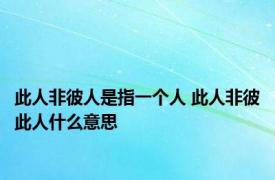 此人非彼人是指一个人 此人非彼此人什么意思