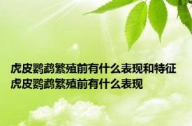 虎皮鹦鹉繁殖前有什么表现和特征 虎皮鹦鹉繁殖前有什么表现