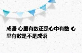 成语 心里有数还是心中有数 心里有数是不是成语