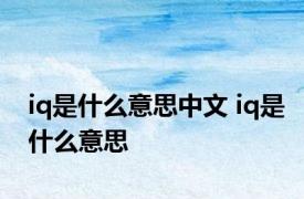 iq是什么意思中文 iq是什么意思