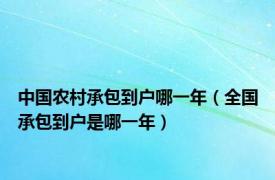 中国农村承包到户哪一年（全国承包到户是哪一年）