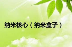 纳米核心（纳米盒子）