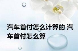 汽车首付怎么计算的 汽车首付怎么算