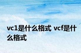 vc1是什么格式 vcf是什么格式