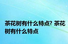 茶花树有什么特点? 茶花树有什么特点