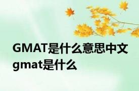 GMAT是什么意思中文 gmat是什么