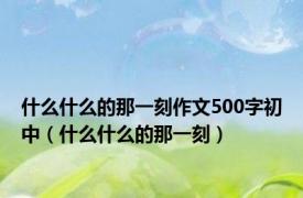 什么什么的那一刻作文500字初中（什么什么的那一刻）