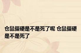 仓鼠僵硬是不是死了呢 仓鼠僵硬是不是死了