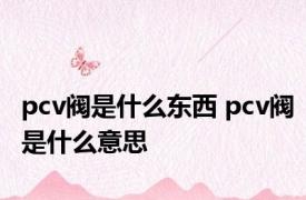 pcv阀是什么东西 pcv阀是什么意思