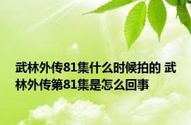 武林外传81集什么时候拍的 武林外传第81集是怎么回事