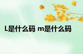 L是什么码 m是什么码