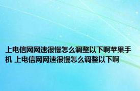 上电信网网速很慢怎么调整以下啊苹果手机 上电信网网速很慢怎么调整以下啊