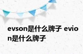 evson是什么牌子 evion是什么牌子