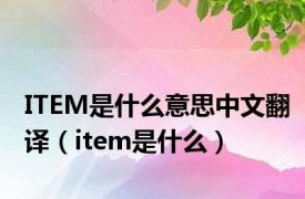 ITEM是什么意思中文翻译（item是什么）