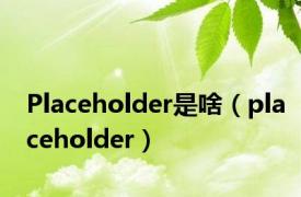 Placeholder是啥（placeholder）