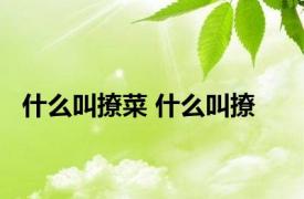 什么叫撩菜 什么叫撩