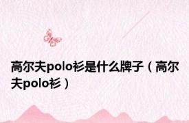 高尔夫polo衫是什么牌子（高尔夫polo衫）