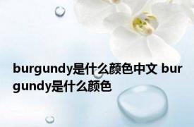 burgundy是什么颜色中文 burgundy是什么颜色