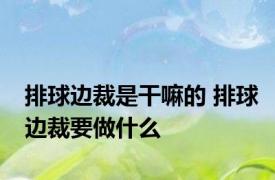 排球边裁是干嘛的 排球边裁要做什么