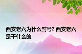 西安老六为什么封号? 西安老六是干什么的