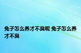 兔子怎么养才不臭呢 兔子怎么养才不臭