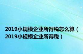 2019小规模企业所得税怎么算（2019小规模企业所得税）