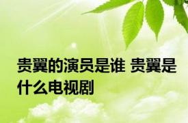 贵翼的演员是谁 贵翼是什么电视剧