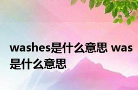 washes是什么意思 was是什么意思