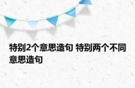 特别2个意思造句 特别两个不同意思造句