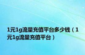 1元1g流量充值平台多少钱（1元1g流量充值平台）