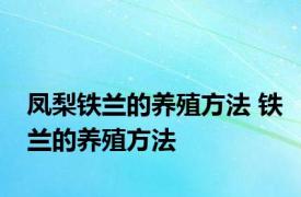 凤梨铁兰的养殖方法 铁兰的养殖方法