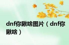 dnf你瞅啥图片（dnf你瞅啥）