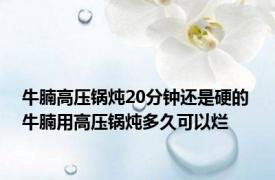 牛腩高压锅炖20分钟还是硬的 牛腩用高压锅炖多久可以烂