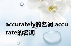 accurately的名词 accurate的名词