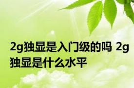 2g独显是入门级的吗 2g独显是什么水平