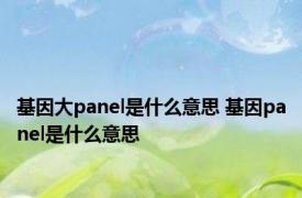 基因大panel是什么意思 基因panel是什么意思