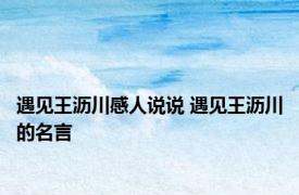 遇见王沥川感人说说 遇见王沥川的名言