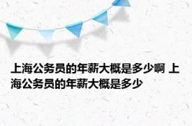 上海公务员的年薪大概是多少啊 上海公务员的年薪大概是多少