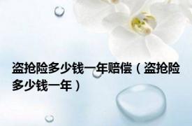 盗抢险多少钱一年赔偿（盗抢险多少钱一年）