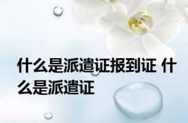 什么是派遣证报到证 什么是派遣证