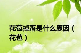 花苞掉落是什么原因（花苞）