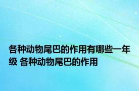 各种动物尾巴的作用有哪些一年级 各种动物尾巴的作用