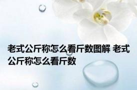 老式公斤称怎么看斤数图解 老式公斤称怎么看斤数